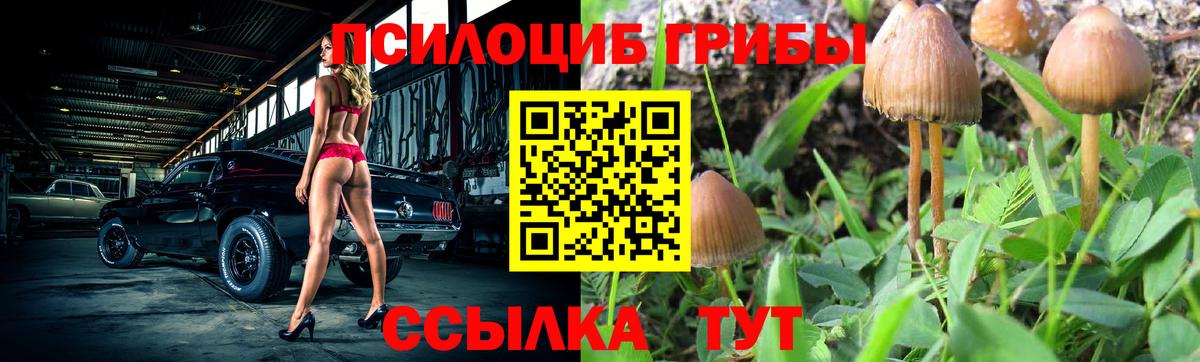 Галлюциногенные грибы мухоморы Туапсе
