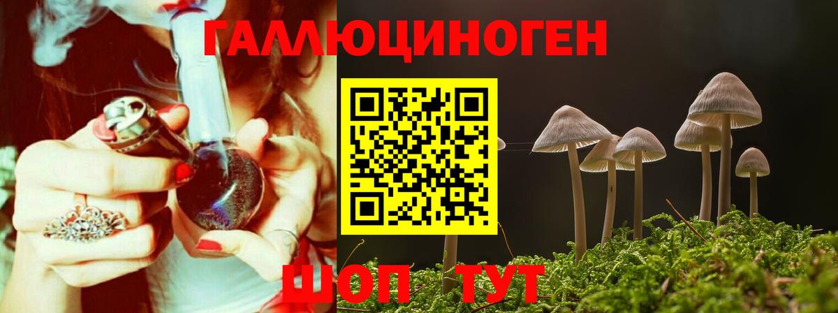 купить наркоту  Вход с VPN  Туапсе  Псилоцибиновые грибы GOLDEN TEACHER 